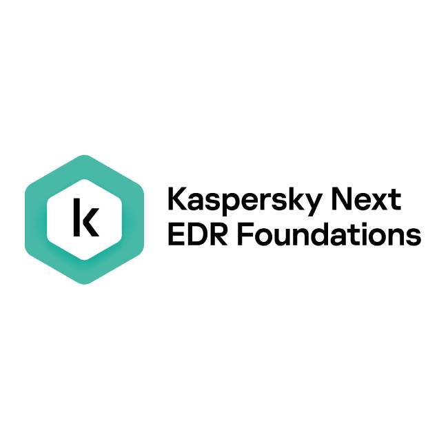KASPERSKY KL4065ZAQFS