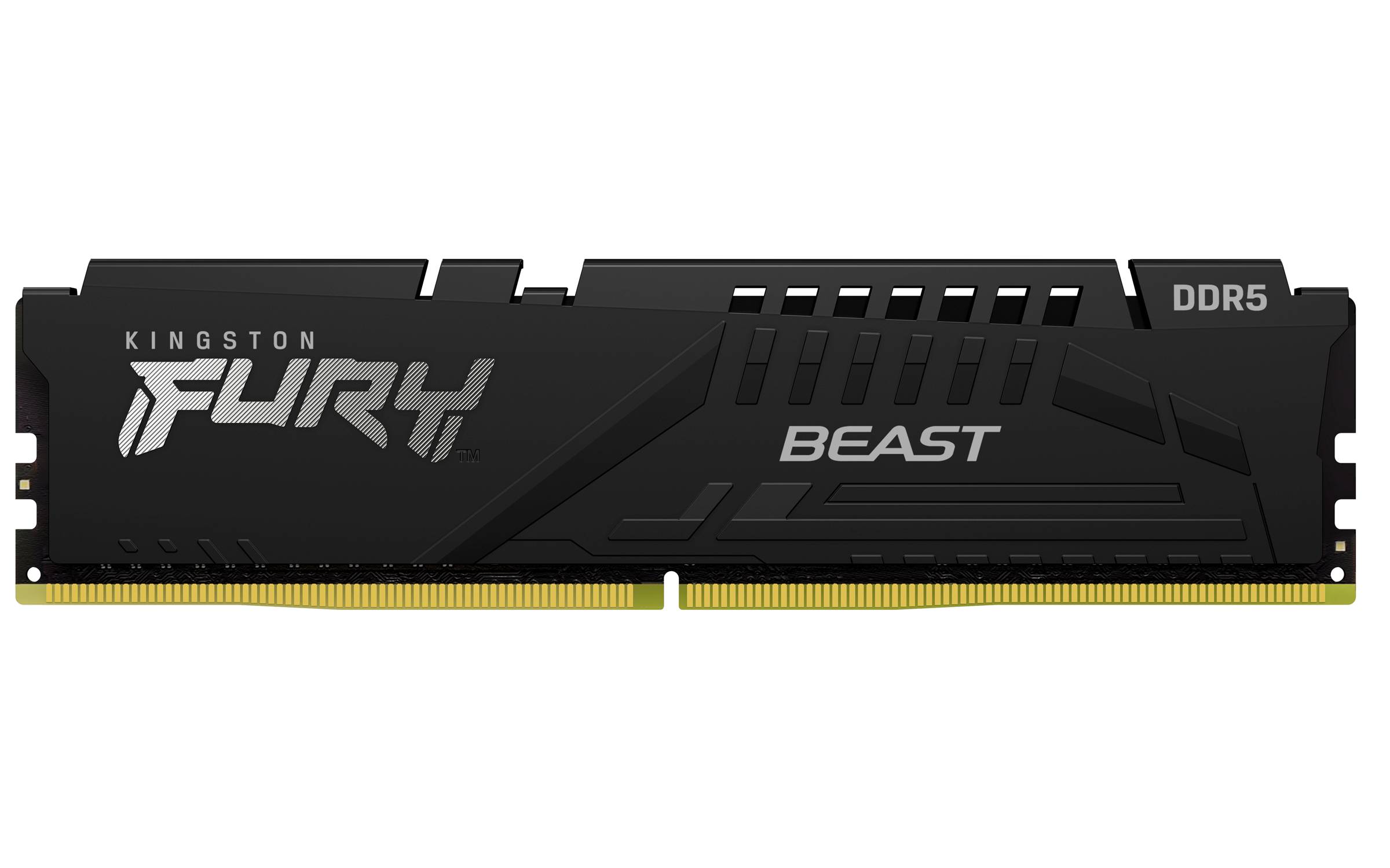 Memorias RAM Kingston Technology FURY BEAST EXPO